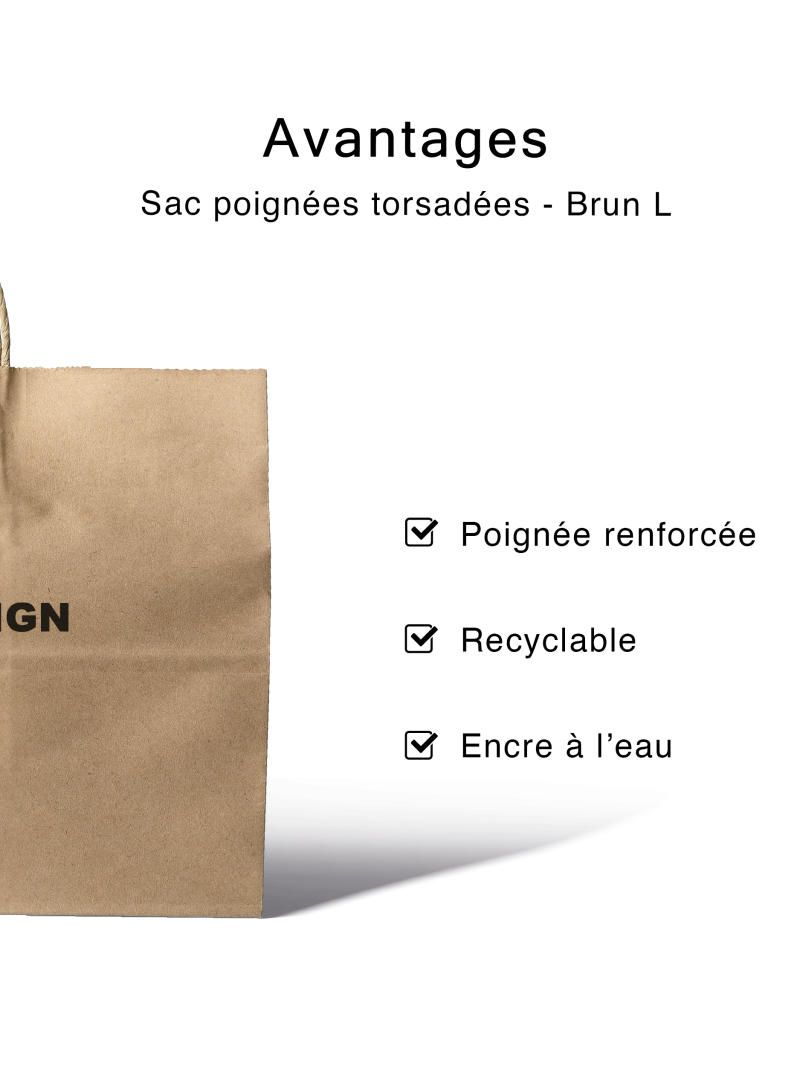 Twisted handle bag - Brown Kraft