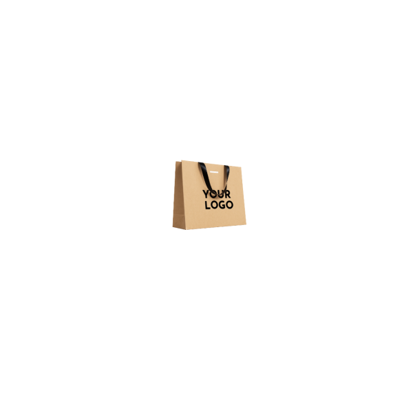 copy of Luxury paper bags - White XS - Ribbon handles