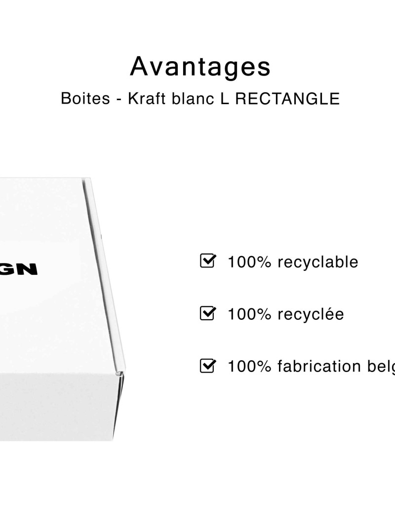 Boîte - kraft blanc L RECTANGLE