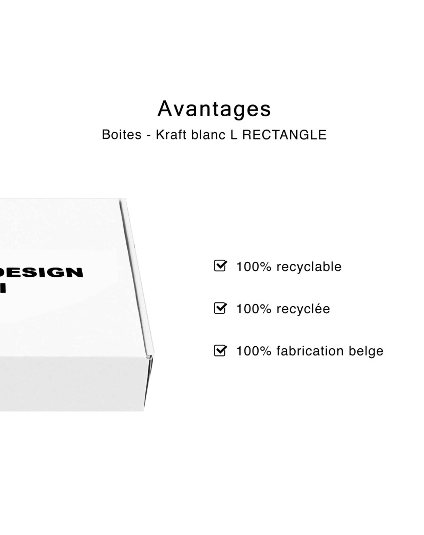 Boîte - kraft blanc L RECTANGLE