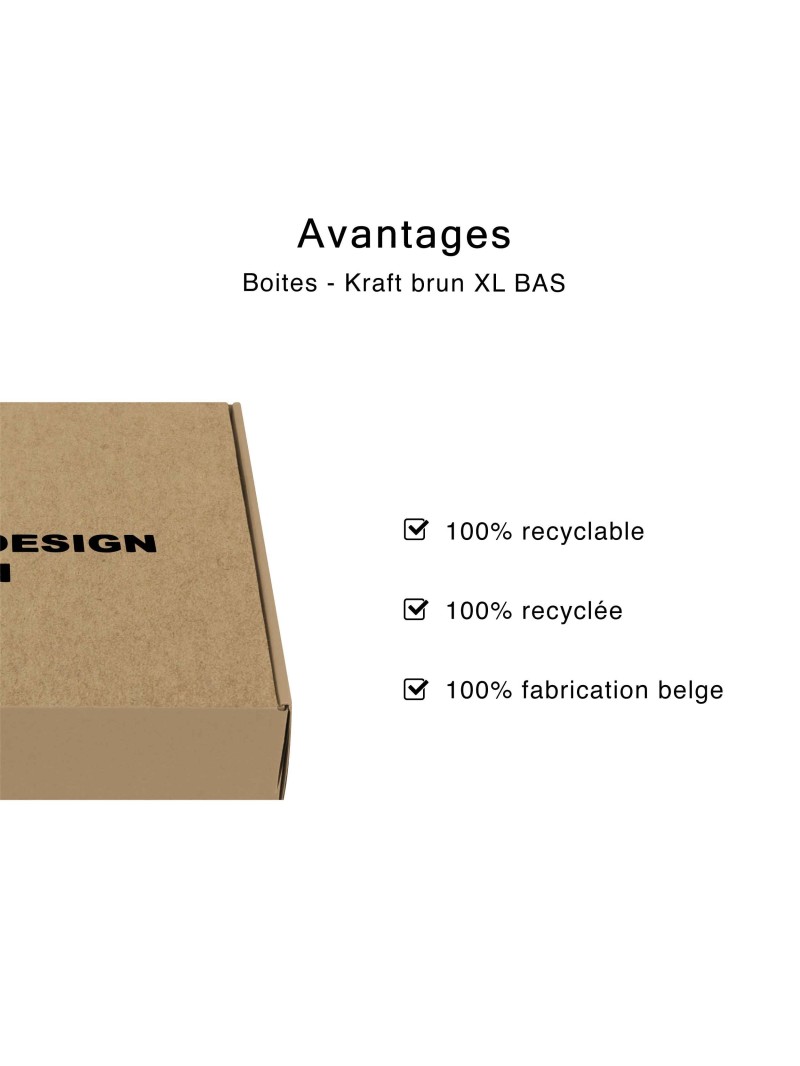 Box - Kraft XL BAS