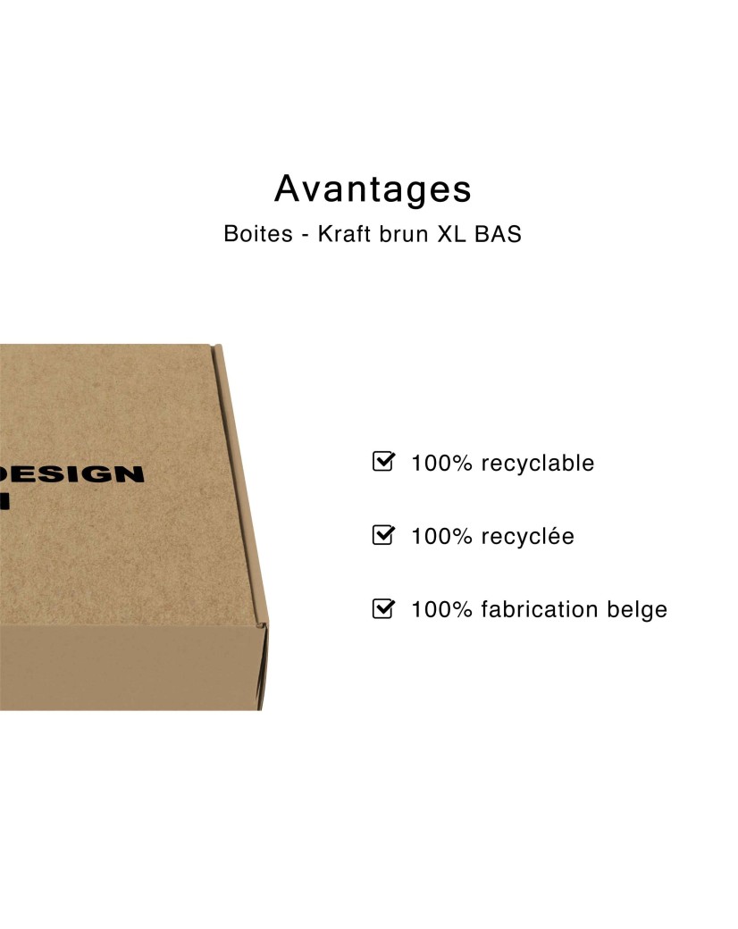 Box - Kraft XL BAS