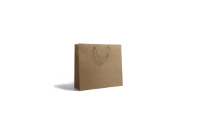 Bolsa de papel de lujo - Kraft XS sin impresión