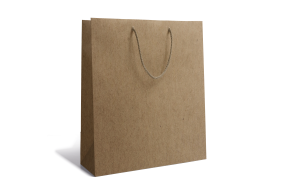 Luxury paper bag - Kraft M unprinted