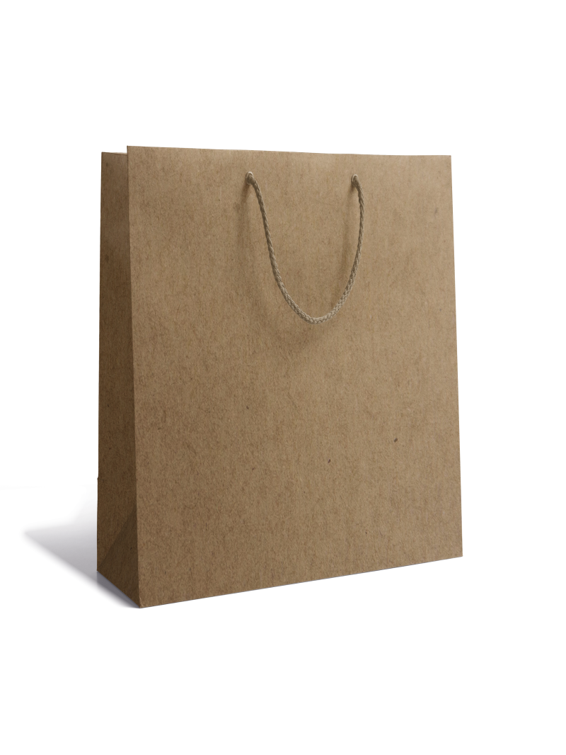 Luxury paper bag - Kraft M unprinted