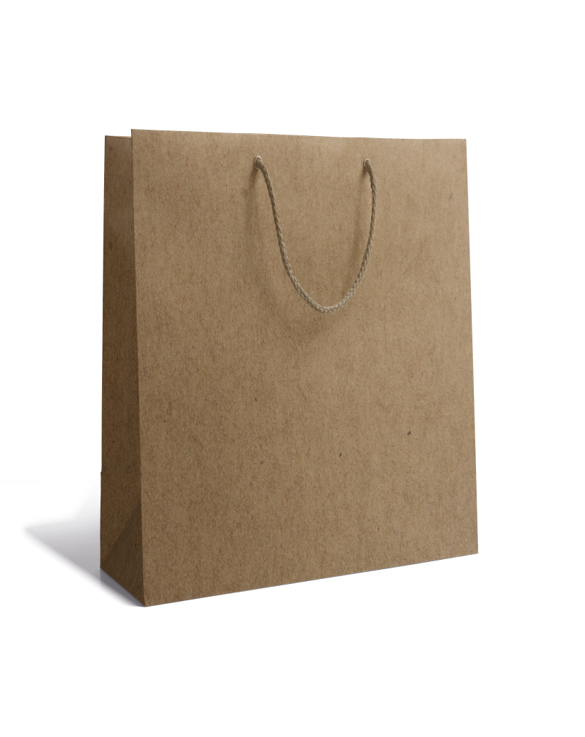 Luxury paper bag - Kraft M unprinted