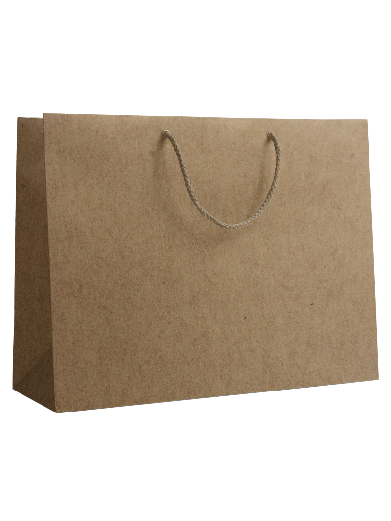 Luxury paper bag - Kraft L unprinted