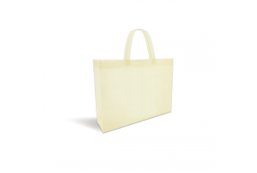 Non-woven bag - Beige without print