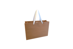 Luxe paper bag with white ribbon handle - Kraft M unprinted