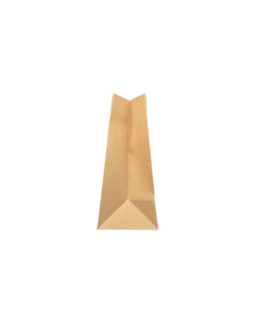 Kraft paper bag with black ribbon handles