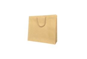 Kraft paper bag with drawstring handle