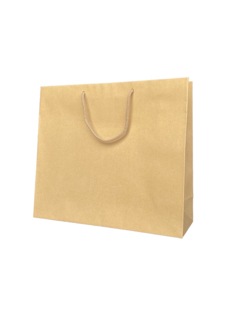 Kraft paper bag with cord handles