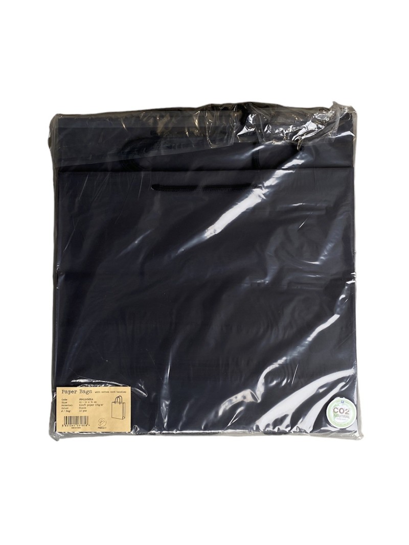Black paper bag with black cord handles