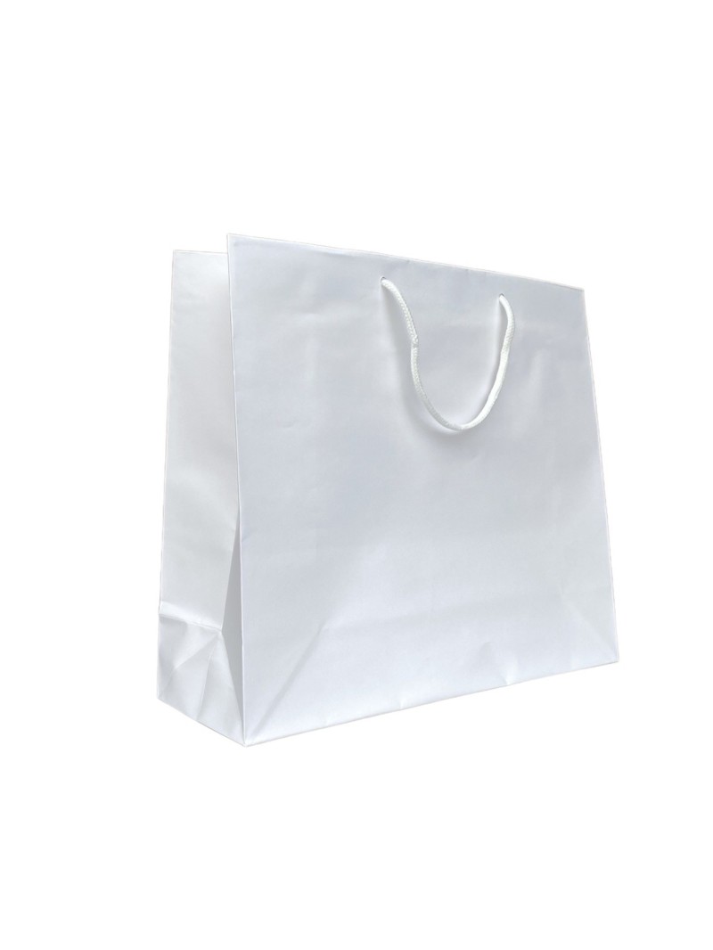 White paper bag with white cord handles
