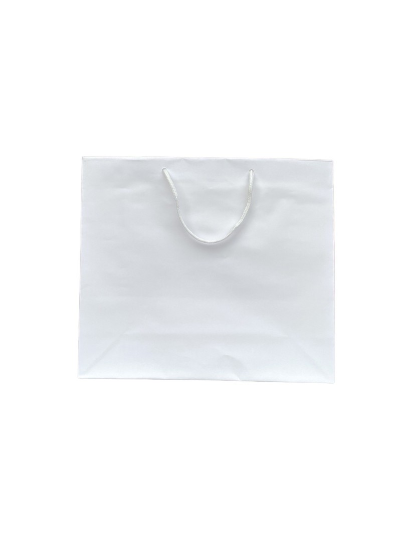 White paper bag with white cord handles