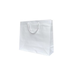 Sac papier Blanc poignée Cordelette Blanc