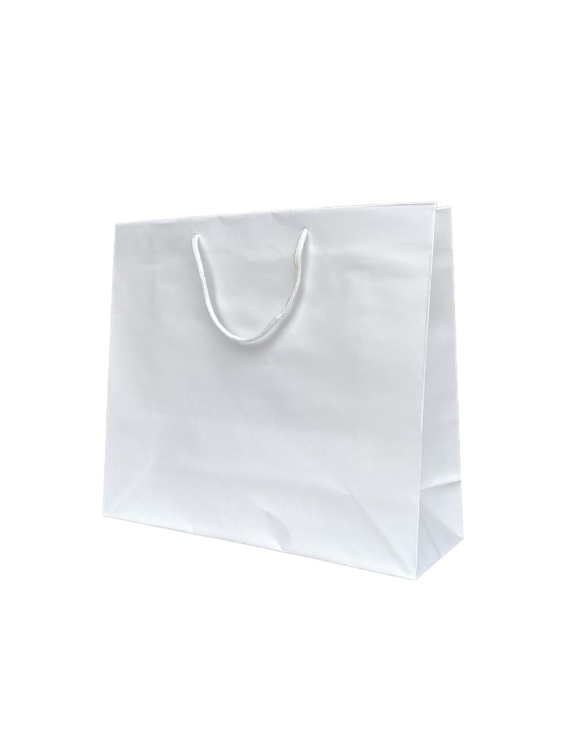 White paper bag with white cord handles