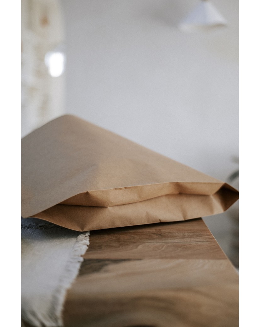 MAILERBAG ECO L (60X48+14CM)