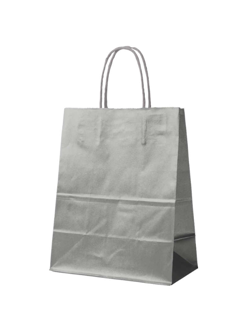 SAC PAPIER ARGENTÉ M (22x10x31cm)