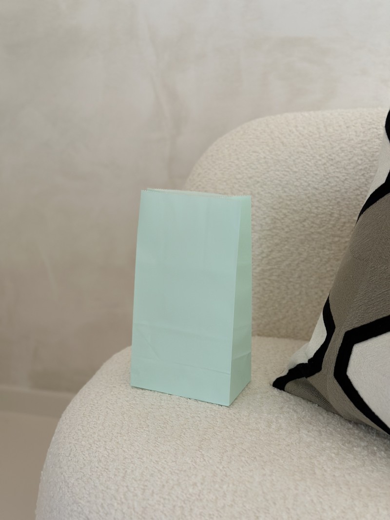 Paper Bag - Mint Green M