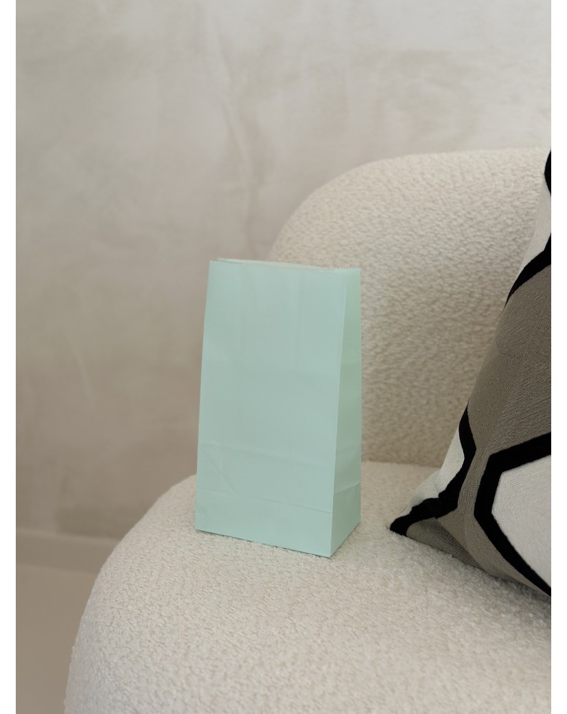 Paper Bag - Mint Green M
