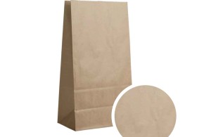 Paper Bag - Kraft M
