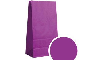Paper Bag - Violet M