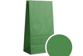 Bolsa de papel - Verde abeto M