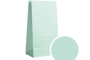Bolsa de papel - Menta verde M