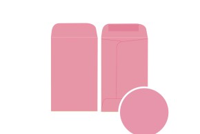 Gift Envelope - Pink XS