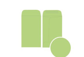 Gift Envelope - Vert Pastel XS