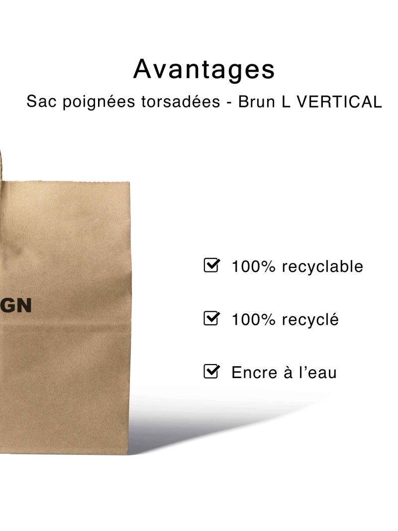 Twisted Handle Bags - Kraft L VERTICAL (32x12x41cm)