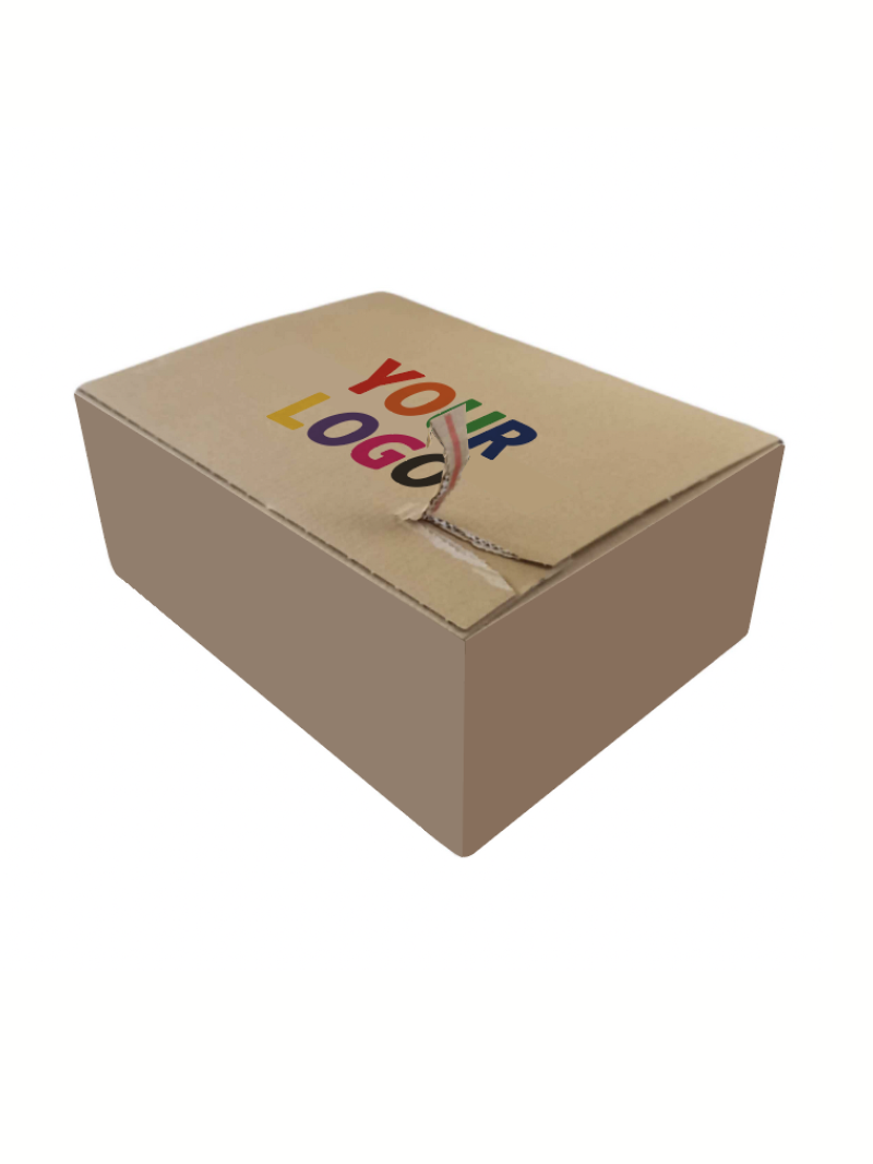 Caja de envío con cierre adhesivo - S